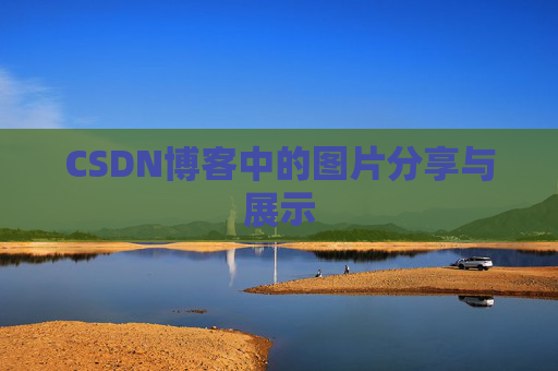 CSDN博客中的图片分享与展示